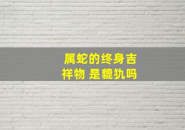 属蛇的终身吉祥物 是貔犰吗